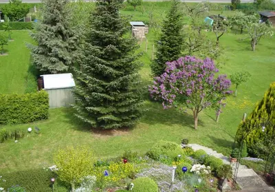 Ein Garten an der Unterkunft Ferienwohnung Erz