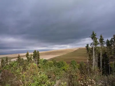 Naturlandschaft in der Nähe des Ferienhauses