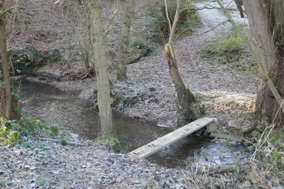 Naturlandschaft in der Nähe der Ferienwohnung