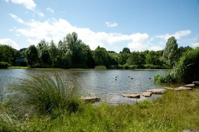 Naturlandschaft in der Nähe der Ferienwohnung