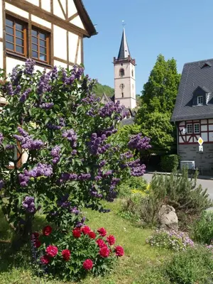 Ein Garten an der Unterkunft Hotel Im Schulhaus