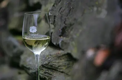 Getränke in der Unterkunft Ernst Clüsserath Weingut & Weinhotelchen