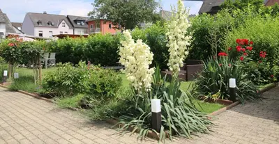 Ein Garten an der Unterkunft Gästehaus Kön