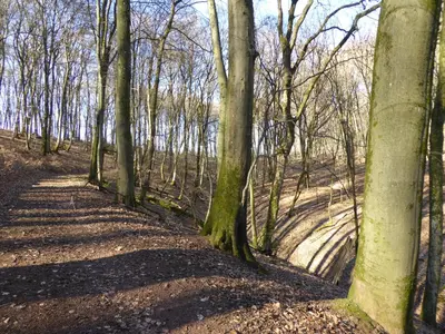 Naturlandschaft in der Nähe des Ferienhauses
