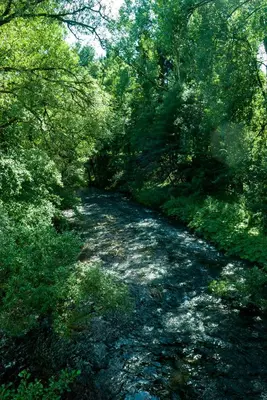 Naturlandschaft in der Nähe der Ferienwohnung