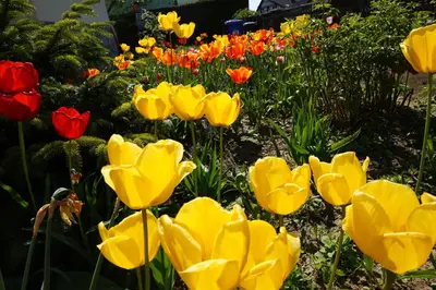 Ein Garten an der Unterkunft Citynahe Wohnung Festung Ehrenbreitstein 65m² mit großem Garten