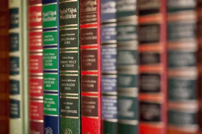 Die Bibliothek in der Ferienwohnung