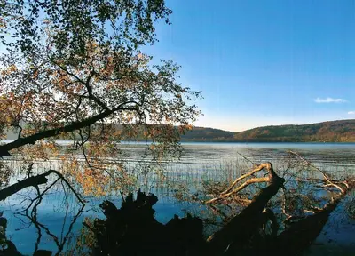 Naturlandschaft in der Nähe der Ferienwohnung