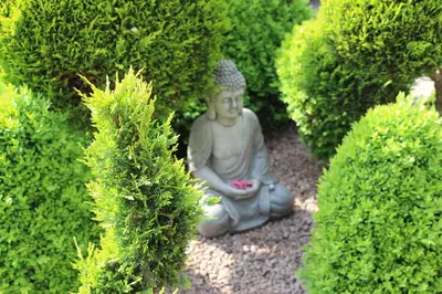 Ein Garten an der Unterkunft Susanne