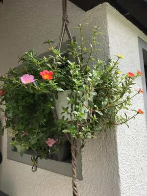 Ein Garten an der Unterkunft Ferienwohnung Lahnmündung