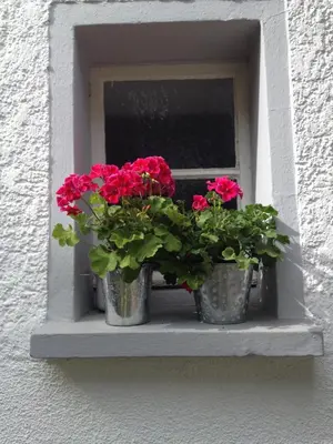 Grundriss der Unterkunft Ferienwohnung Lahnmündung