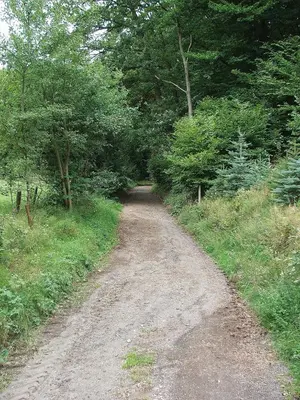 Naturlandschaft in der Nähe der Ferienwohnung