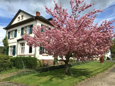 Ein Garten an der Unterkunft Ferienbungalow Kampenheissji