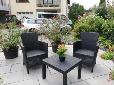 Ein Garten an der Unterkunft Wein-und Gästehaus Alfons Bollig
