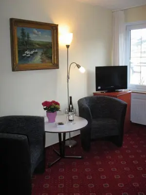 TV/Unterhaltungsangebot in der Unterkunft Hotel Winzerverein