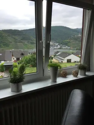 Ein allgemeiner Bergblick oder ein Berglick von der Ferienwohnung aus
