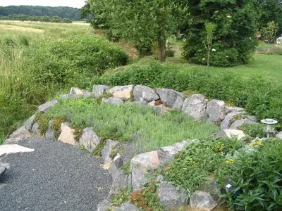Naturlandschaft in der Nähe der Ferienwohnung