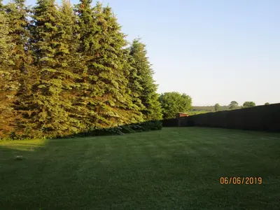 Ein Garten an der Unterkunft Ferienhaus Schöne Aussicht