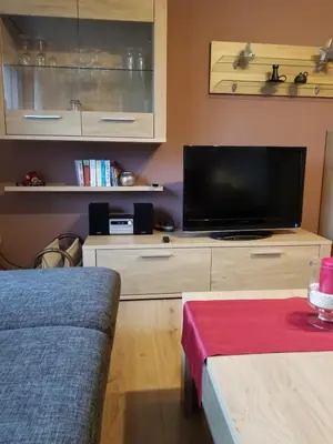 TV/Unterhaltungsangebot in der Unterkunft Ferienwohnung Bernkastel-Kues - Alte Rebschule