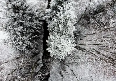 Schlössje im Winter