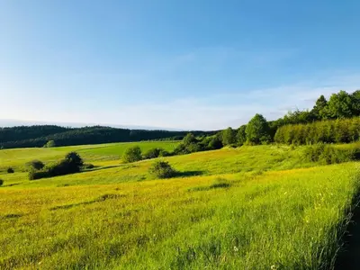 Naturlandschaft in der Nähe der Ferienwohnung
