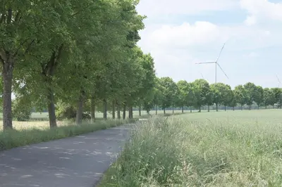 Naturlandschaft in der Nähe der Ferienwohnung