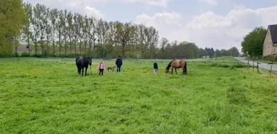 Tiere in der Ferienwohnung oder in der Nähe