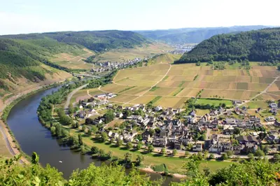 Naturlandschaft in der Nähe der Ferienwohnung