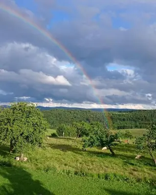 Naturlandschaft in der Nähe der Ferienwohnung