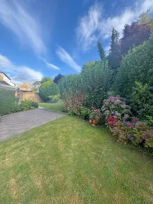 Ein Garten an der Unterkunft Pension Haus Thies