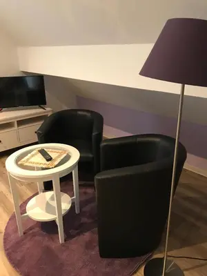 TV/Unterhaltungsangebot in der Unterkunft Historische Mühle Vogelsang