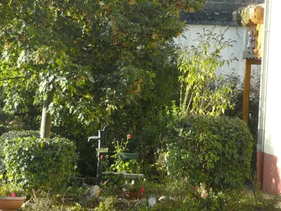 Ein Garten an der Unterkunft Charming Apartment in Morbach Germany with Terrace