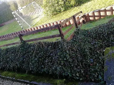 Ein Garten an der Unterkunft Gasthaus Hochwald