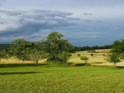 Naturlandschaft in der Nähe der Ferienwohnung