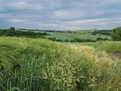 Naturlandschaft in der Nähe der Ferienwohnung