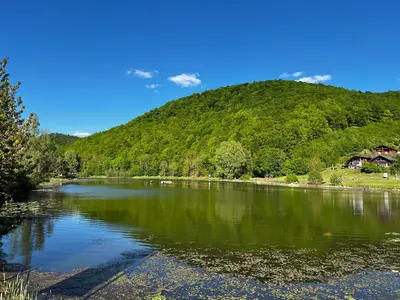 Naturlandschaft in der Nähe des Ferienhauses
