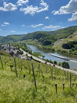Naturlandschaft in der Nähe der Ferienwohnung