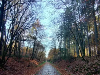Naturlandschaft in der Nähe der Ferienwohnung