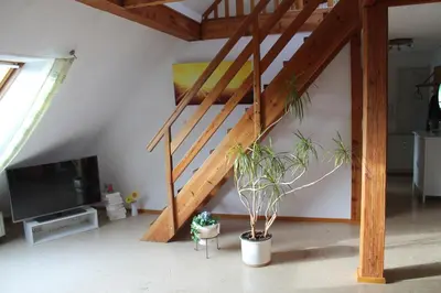 TV/Unterhaltungsangebot in der Unterkunft Ferienwohnung im Galerie-Haus