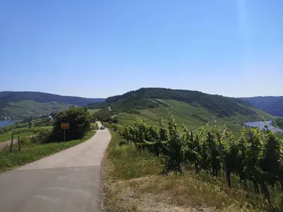 Naturlandschaft in der Nähe der Ferienwohnung