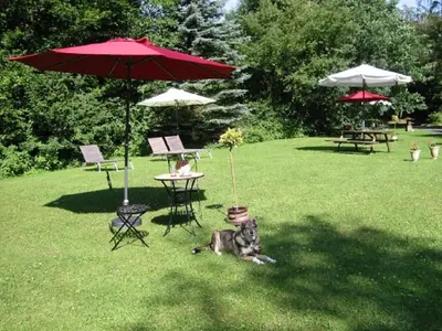 Ein Garten an der Unterkunft Haus 2 - Typ A (Appartement)