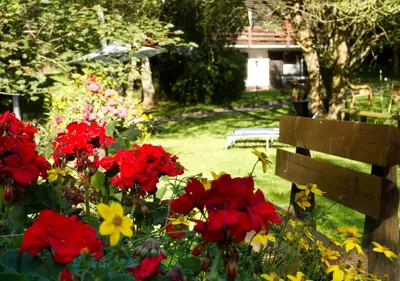 Ein Garten an der Unterkunft Haus 2 - Typ B (Blockhaus)