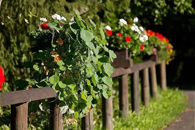 Ein Garten an der Unterkunft Haus 1 - Typ C (kombiniert)
