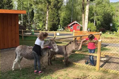 Tiere im Resort oder in der Nähe