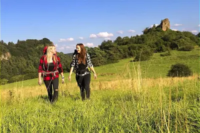 Gäste, die in der Unterkunft Vulkaneifel Type L-C6 übernachten