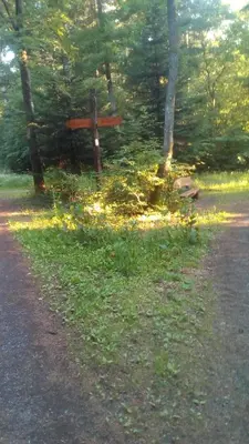 Naturlandschaft in der Nähe der Pension