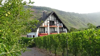 Naturlandschaft in der Nähe der Ferienwohnung