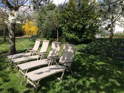 Ein Garten an der Unterkunft Gasthaus Weingut Stahl