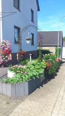 Ein Garten an der Unterkunft Pension Loni Theisen