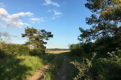 Naturlandschaft in der Nähe der Ferienwohnung